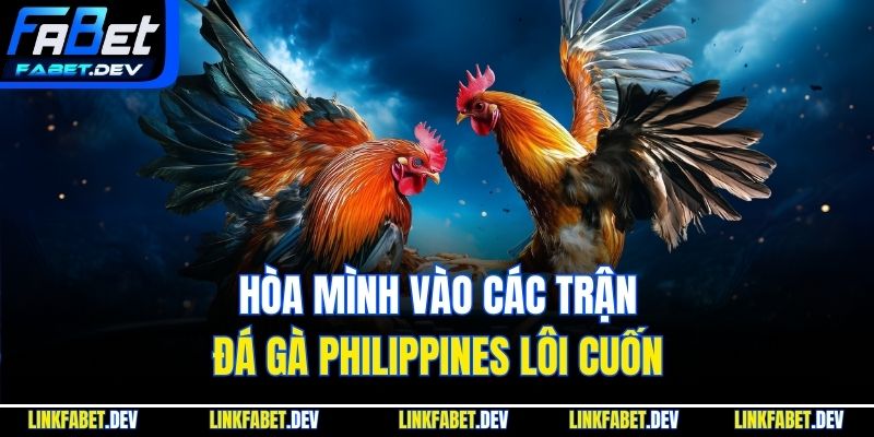Hòa mình vào các trận đá gà Philippines lôi cuốn
