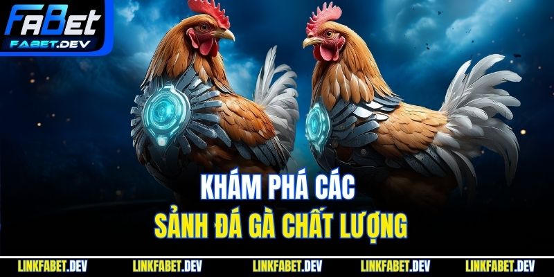 Khám phá các sảnh đá gà chất lượng