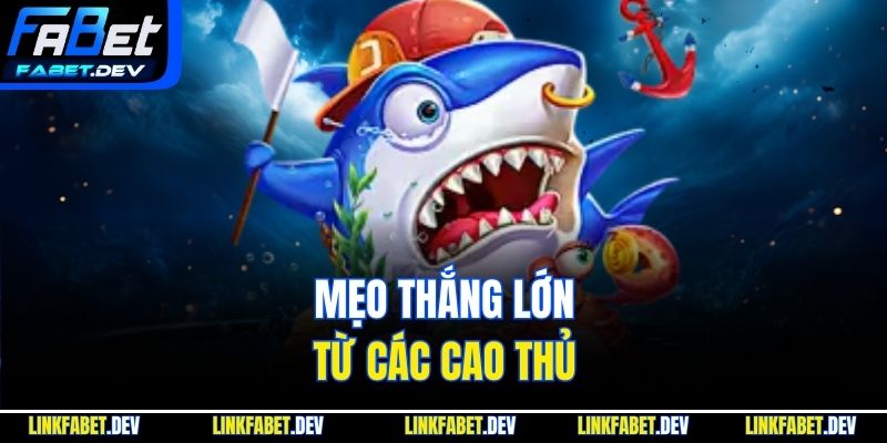 Mẹo thắng lớn từ các cao thủ