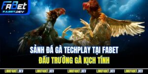 Sảnh Đá Gà Techplay Tại Fabet - Đấu Trường Gà Kịch Tính