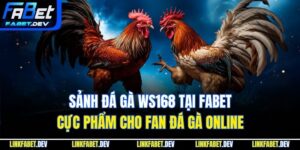 Sảnh Đá Gà WS168 Tại Fabet – Cực Phẩm Cho Fan Đá Gà Online
