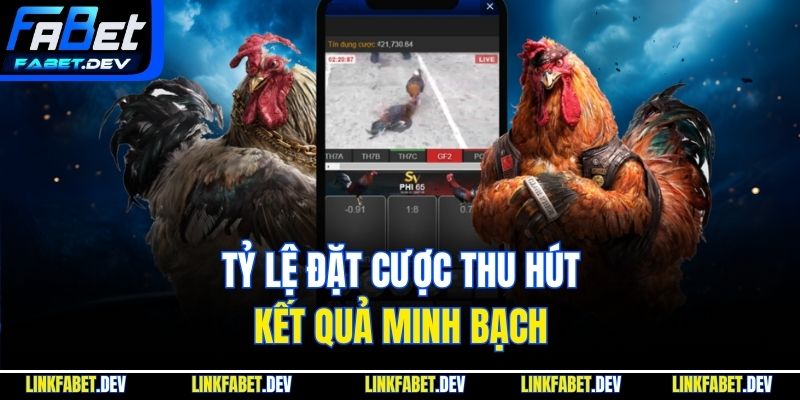 Tỷ lệ đặt cược thu hút, kết quả minh bạch