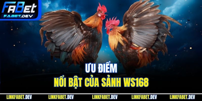 Ưu điểm nổi bật của sảnh WS168